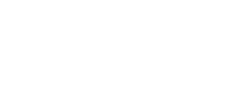 Levi.Sct Logo